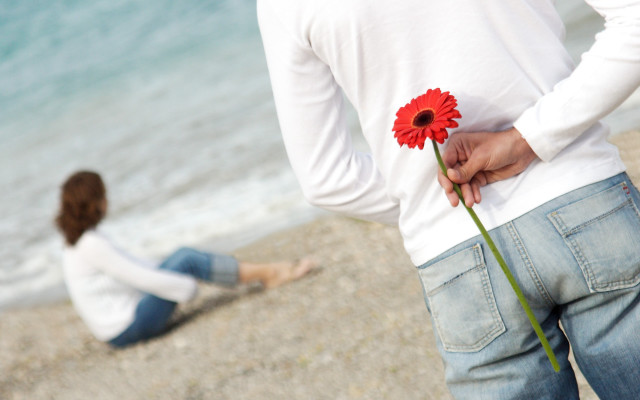Man holding flower beach sitting free wallpaper for desktop - medium preview image