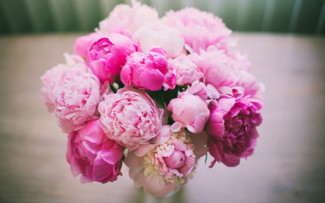 Pink flowers vase still life free wallpaper for desktop - medium preview image