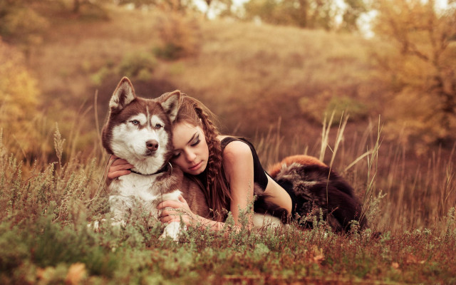 Woman husky autumn nature photorealistic free wallpaper for desktop - medium preview image