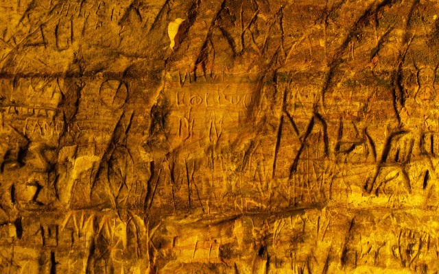 Rock face cracks trees autumn free wallpaper for desktop - medium preview image