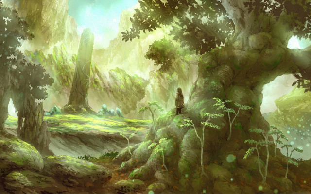 Fantasy forest man rock matte free wallpaper for desktop - medium preview image
