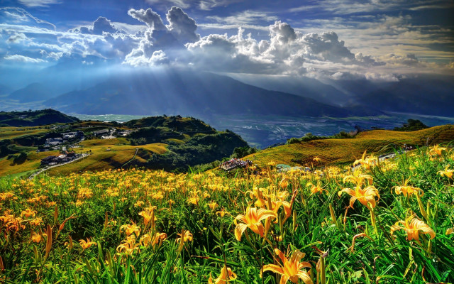 Flower field sunset mountains clouds free wallpaper for desktop - medium preview image