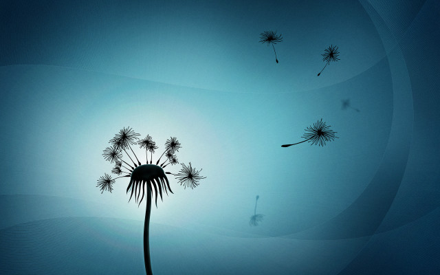 Dandelion wind blue sky person free wallpaper for desktop - medium preview image