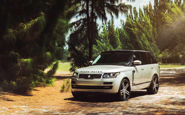 White range rover wooded outdoors free wallpaper for desktop - medium preview image