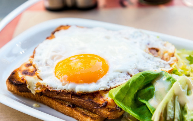 Fried egg toast salad professional free wallpaper for desktop - medium preview image