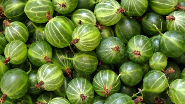 Green fruit leaves other fruits free wallpaper for desktop - medium preview image