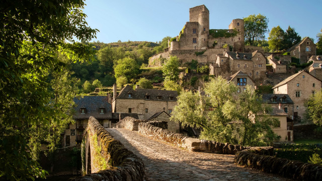 Medieval castle road trees bridge free wallpaper for desktop - medium preview image