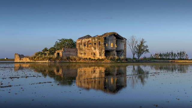 Lake building forest sky matte free wallpaper for desktop - medium preview image
