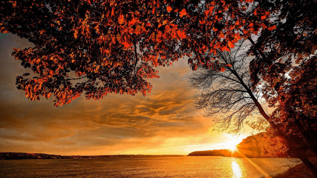 Sunset lake tree autumn magic free wallpaper for desktop - medium preview image