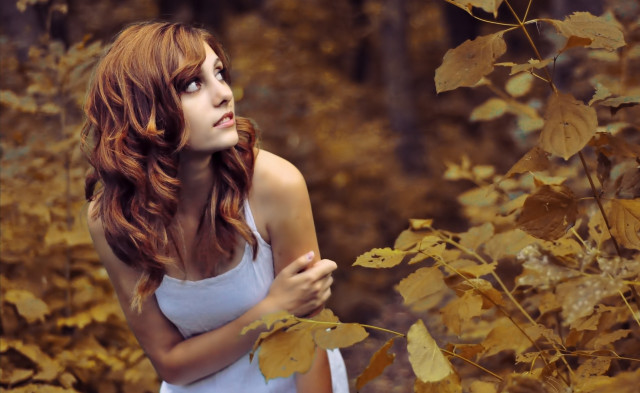 Forest gothic autumn woman bare free wallpaper for desktop - medium preview image