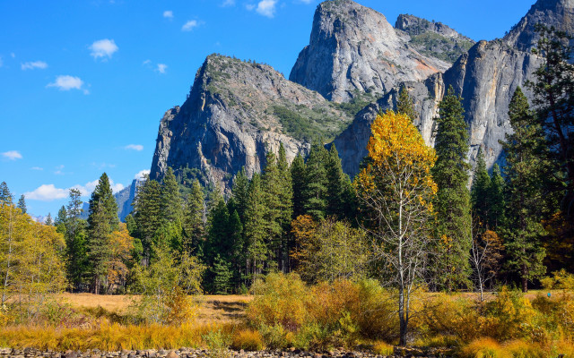 Mountain range forest river autumn free wallpaper for desktop - medium preview image