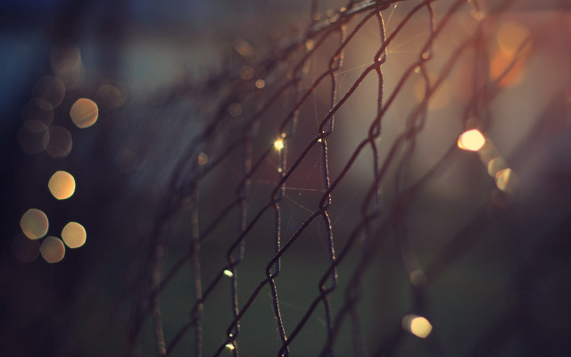 Rain drops fence macro bokeh free wallpaper for desktop - medium preview image