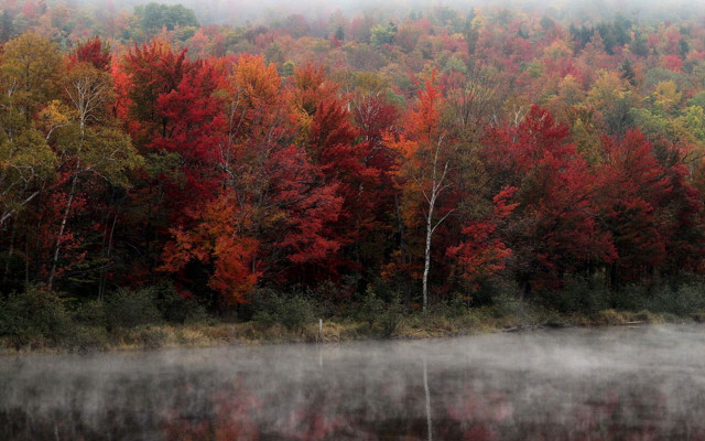 Foggy lake autumn trees mountains free wallpaper for desktop - medium preview image
