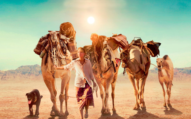 Desert woman dog camels horse free wallpaper for desktop - medium preview image
