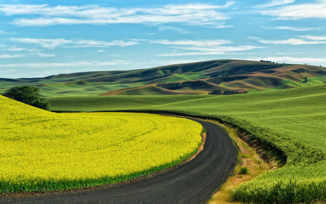 Road winding green field hill free wallpaper for desktop - medium preview image