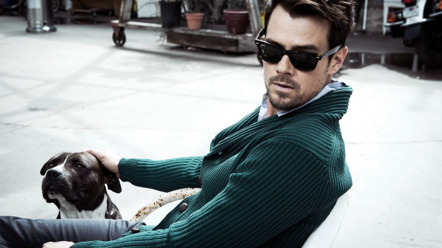 Man dog sunglasses green sweater free wallpaper for desktop - medium preview image