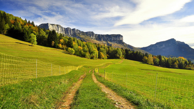 Grassy field dirt path mountain free wallpaper for desktop - medium preview image