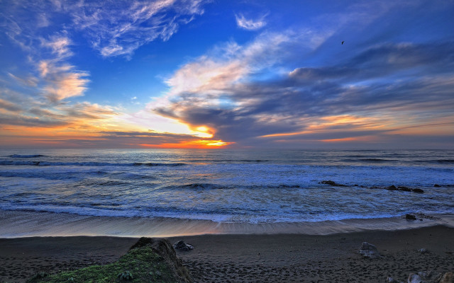 Sunset ocean bird beach waves free wallpaper for desktop - medium preview image