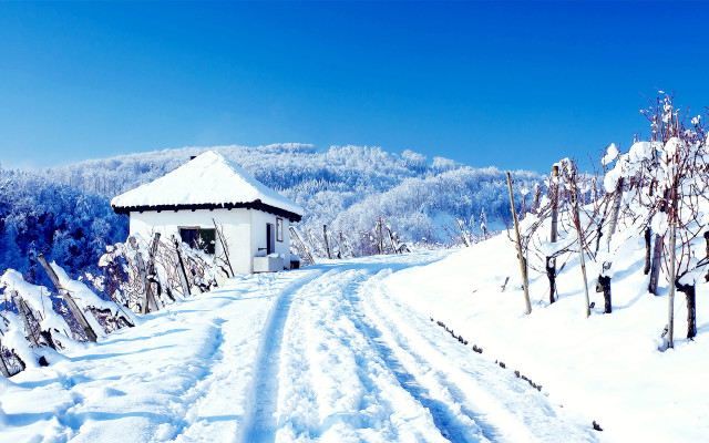 Snowy road white building blue free wallpaper for desktop - medium preview image