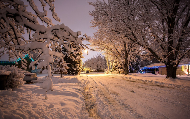Snowy street light tree house free wallpaper for desktop - medium preview image