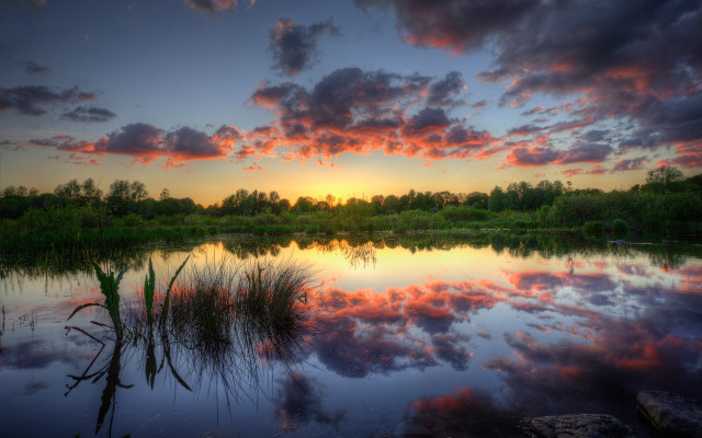 Sunset lake clouds grass trees free wallpaper for desktop - medium preview image