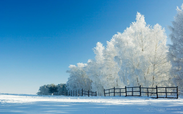 Fence snow trees field blue free wallpaper for desktop - medium preview image
