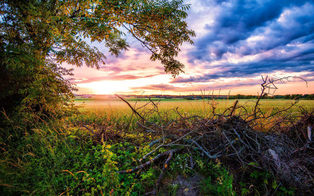Field tree sunset clouds urban free wallpaper for desktop - medium preview image