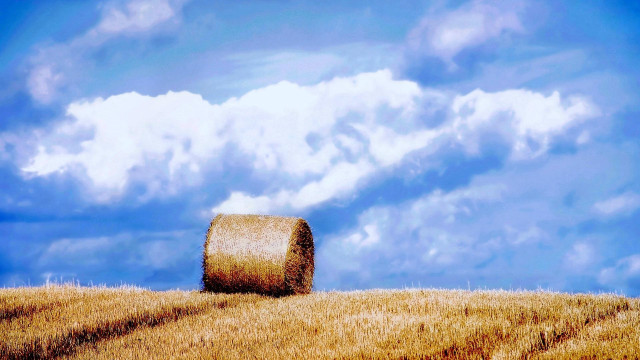 Haybail field blue sky clouds free wallpaper for desktop - medium preview image