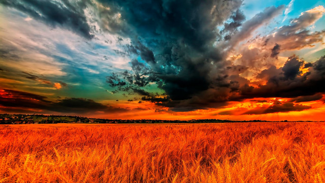 Grass sky clouds sunset autumn free wallpaper for desktop - medium preview image