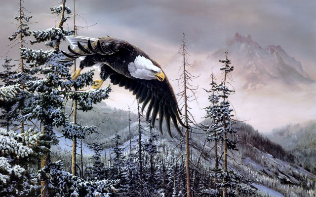 Bald eagle snowy forest mountains free wallpaper for desktop - medium preview image
