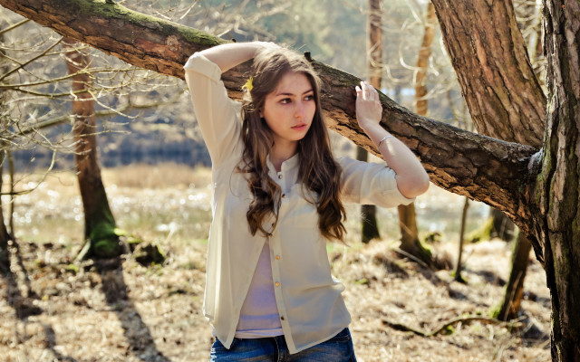 Woman holding branch forest bush free wallpaper for desktop - medium preview image