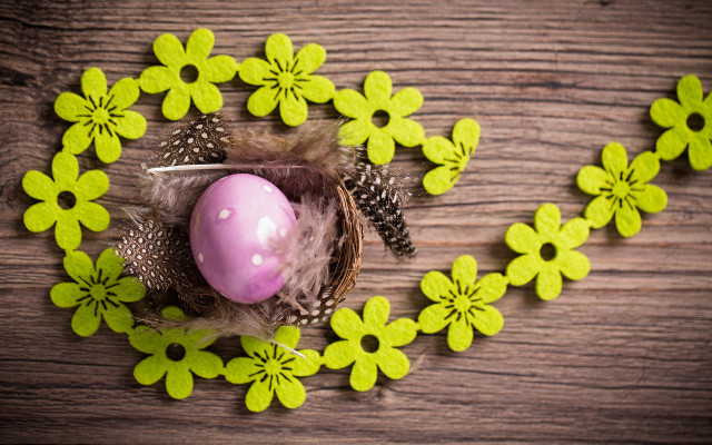 Bird nest pink egg knife free wallpaper for desktop - medium preview image