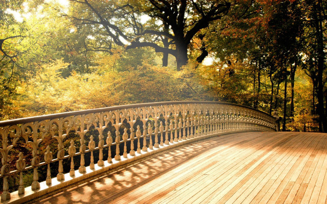 Autumn wooden bridge leaves sunbeam free wallpaper for desktop - medium preview image