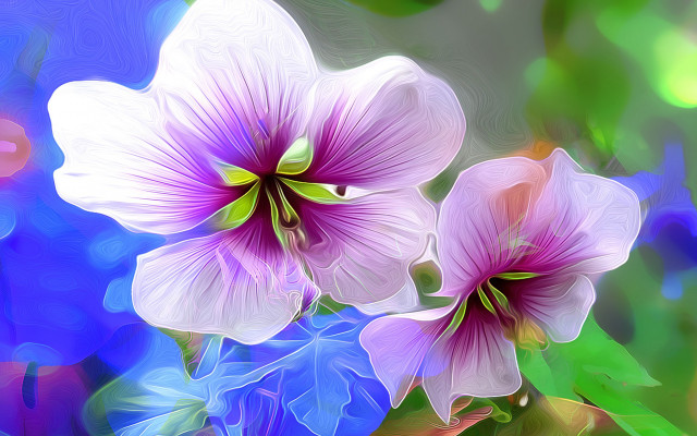 Purple flowers green leaves blue free wallpaper for desktop - medium preview image