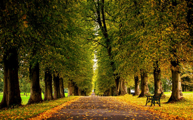 Autumn park bench trees leaves #4 free wallpaper for desktop - medium preview image