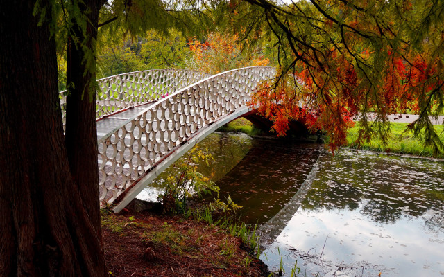 Bridge river park autumn leaves free wallpaper for desktop - medium preview image