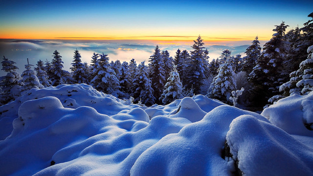 Snowy mountain forest sunset ocean free wallpaper for desktop - medium preview image