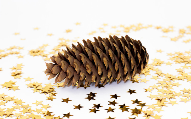 Pinecone goldstars autumn christmas star free wallpaper for desktop - medium preview image