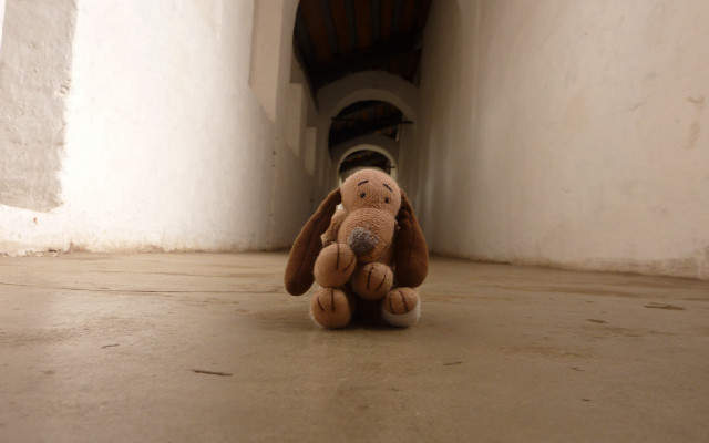 Stuffed animal liminal hallway beach free wallpaper for desktop - medium preview image
