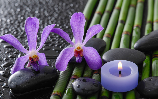 Candle flowers rocks bamboo water free wallpaper for desktop - medium preview image