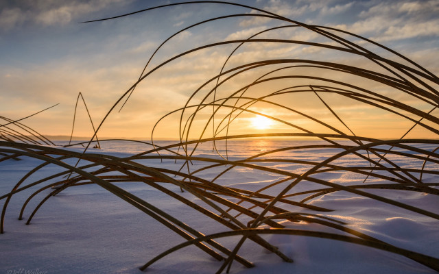 Sunset snowyfield plants clouds landart free wallpaper for desktop - medium preview image