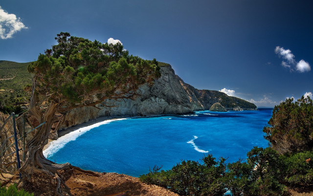 Blue ocean cliff tree shore free wallpaper for desktop - medium preview image