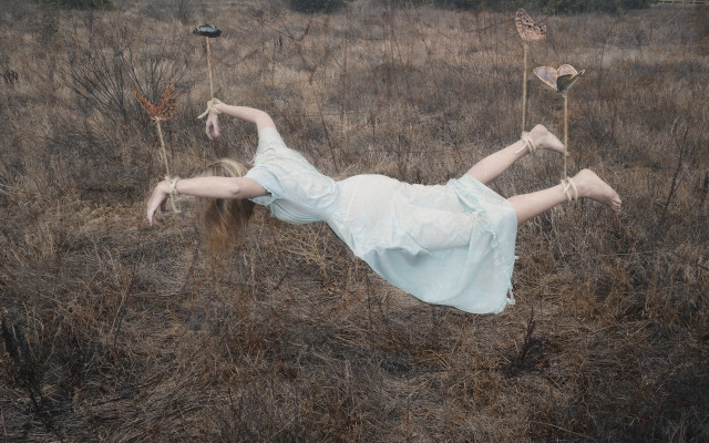 Woman white dress field giraffes free wallpaper for desktop - medium preview image