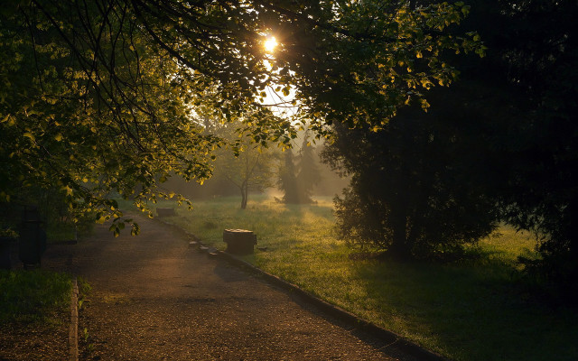 Park path trashcan sunshine trees free wallpaper for desktop - medium preview image