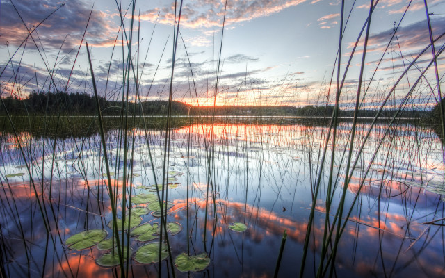 Lake lily pads sunset clouds free wallpaper for desktop - medium preview image