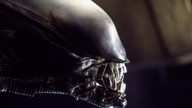 Alien head closeup black background free wallpaper for desktop - medium preview image