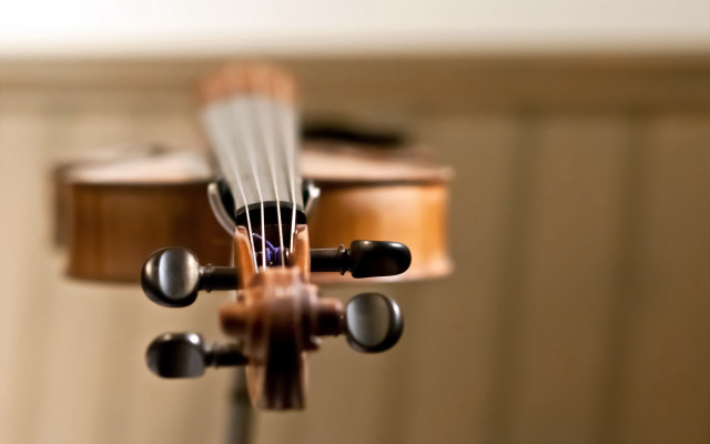 Violin string tilt shift shallow free wallpaper for desktop - medium preview image