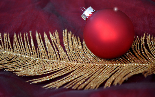 Red ornament gold feather red free wallpaper for desktop - medium preview image