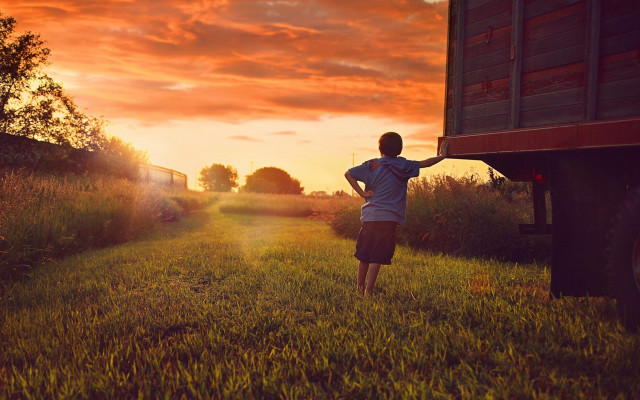 Boy grass truck sunset cinematic free wallpaper for desktop - medium preview image