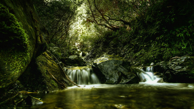 Small waterfall forest mossy rocks free wallpaper for desktop - medium preview image